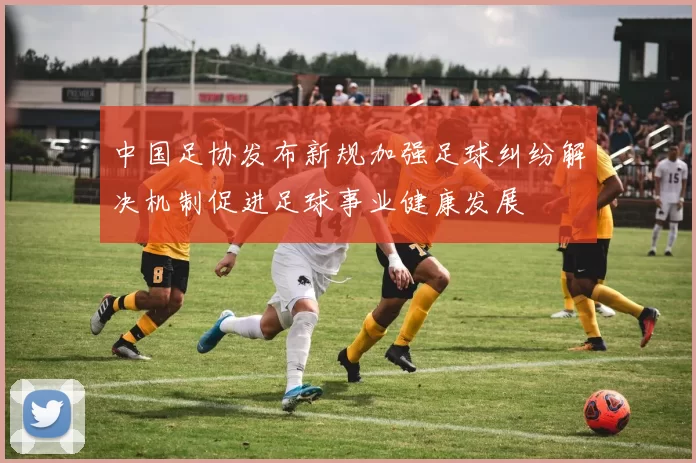 中国足协发布新规加强足球纠纷解决机制促进足球事业健康发展