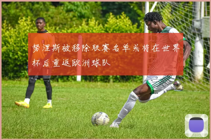 努涅斯被移除联赛名单或将在世界杯后重返欧洲球队
