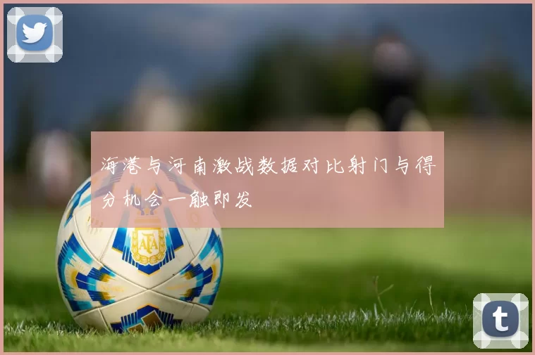 海港与河南激战数据对比射门与得分机会一触即发