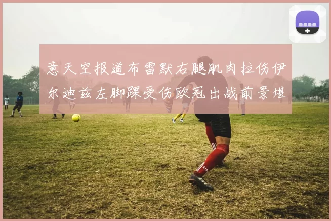 意天空报道布雷默右腿肌肉拉伤伊尔迪兹左脚踝受伤欧冠出战前景堪忧
